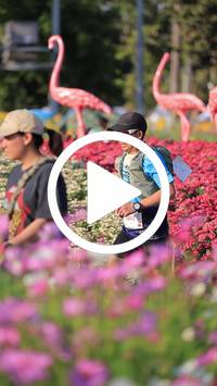 BIB:  <button type="button" onclick="openModal(27588578)" class="btn btn-primary btn-sm float-right" data-toggle="modal" data-target=".modal-high-quality">
                <i class="fa fa-download"></i> Download
                </button>